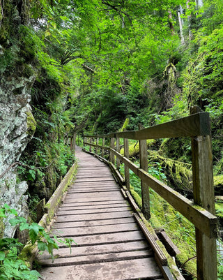 Wild Gorges and Jungle Vibes