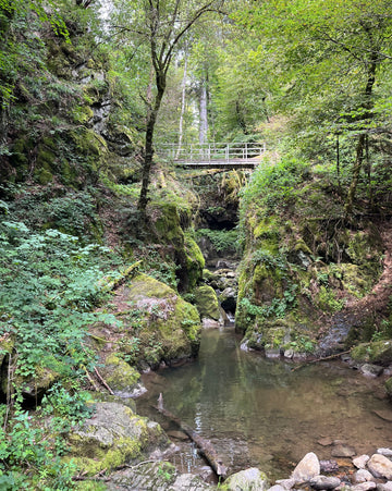 An Enchanted Riverside Adventure