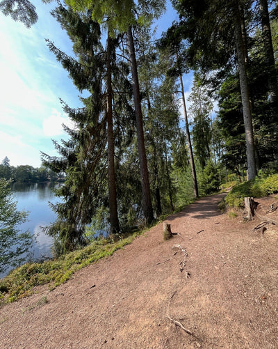 Enchanted Woods & Animal Friends