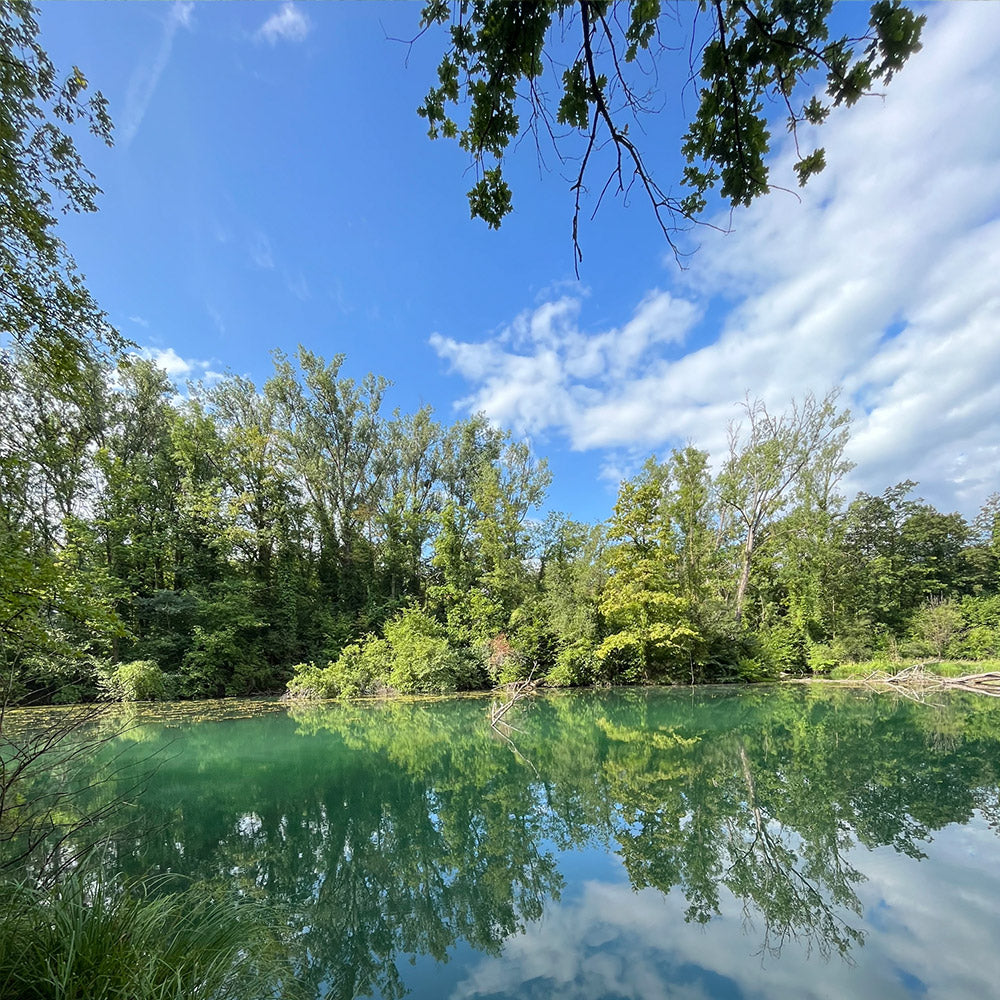 Tagesausflug in die Natur