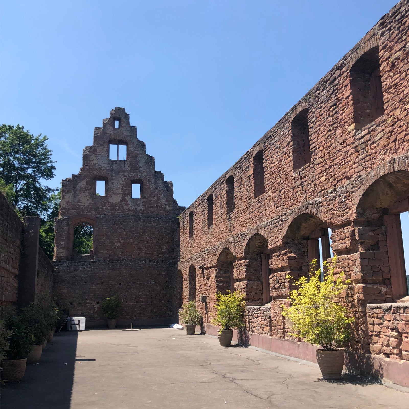 Neuheiten