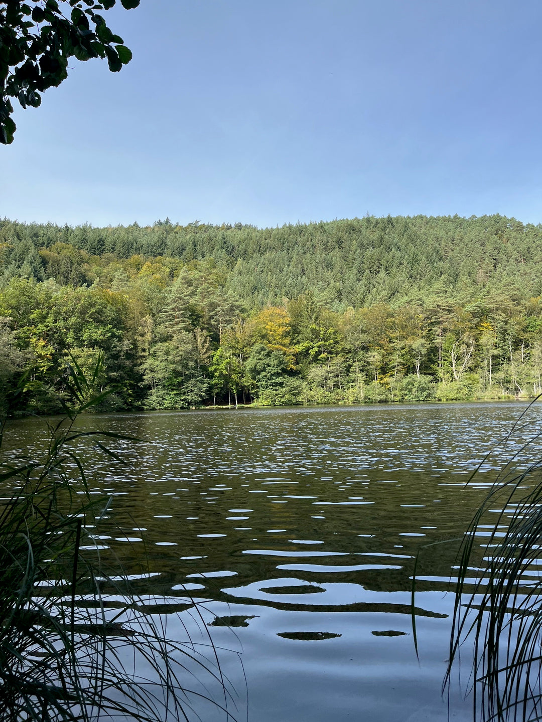 Herbstzauber