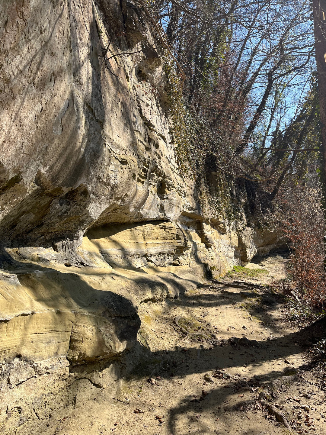 The Roman Route