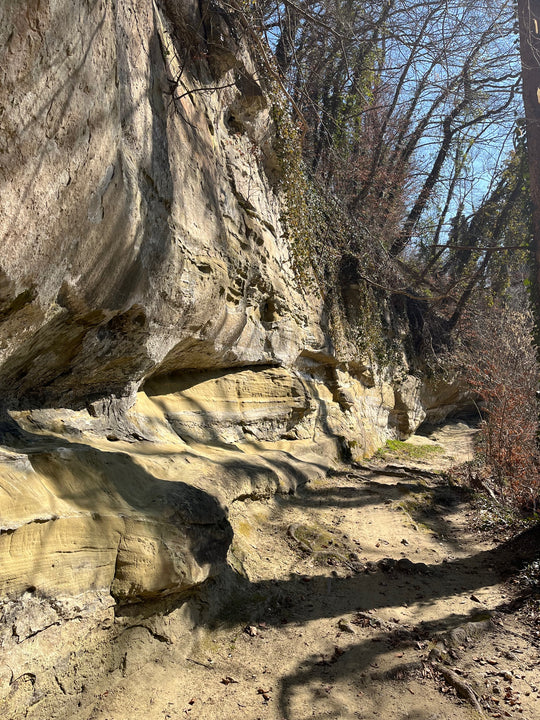 The Roman Route