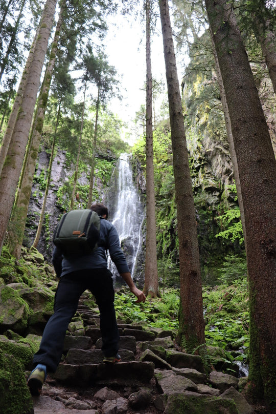 Wild Woods & Waterfalls