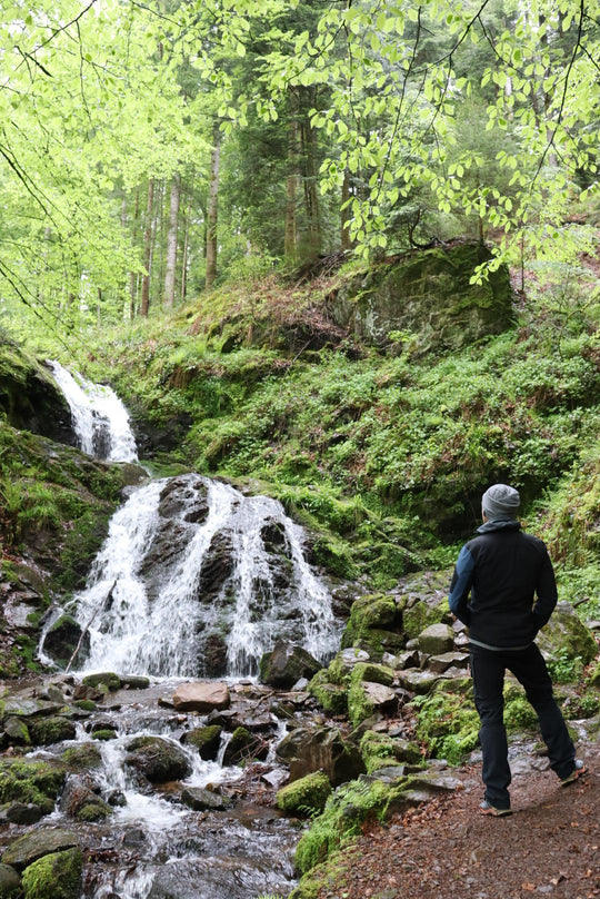 Wild Woods & Waterfalls
