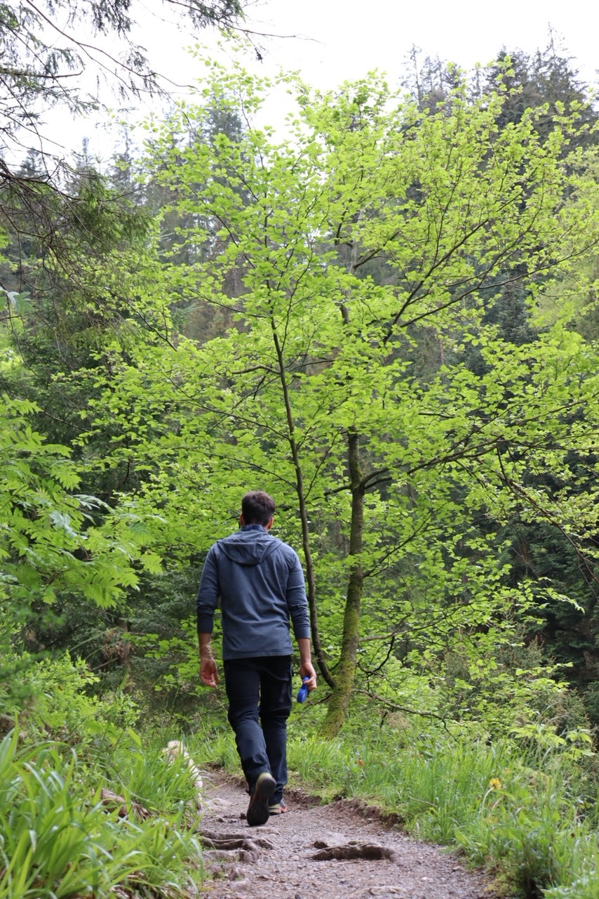 Wild Woods & Waterfalls