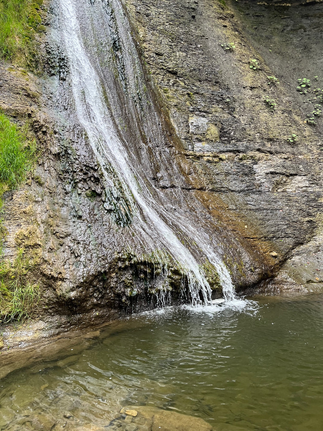 Wild Gorges and Jungle Vibes