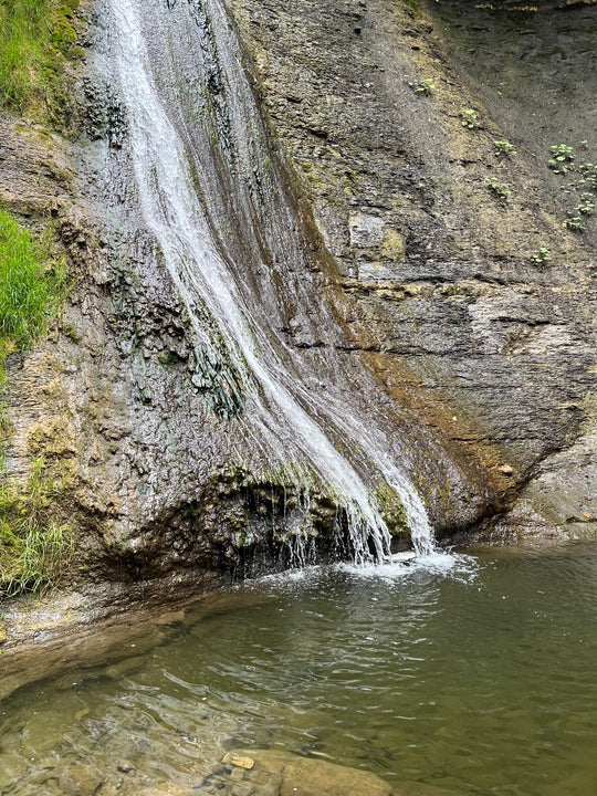 Wild Gorges and Jungle Vibes