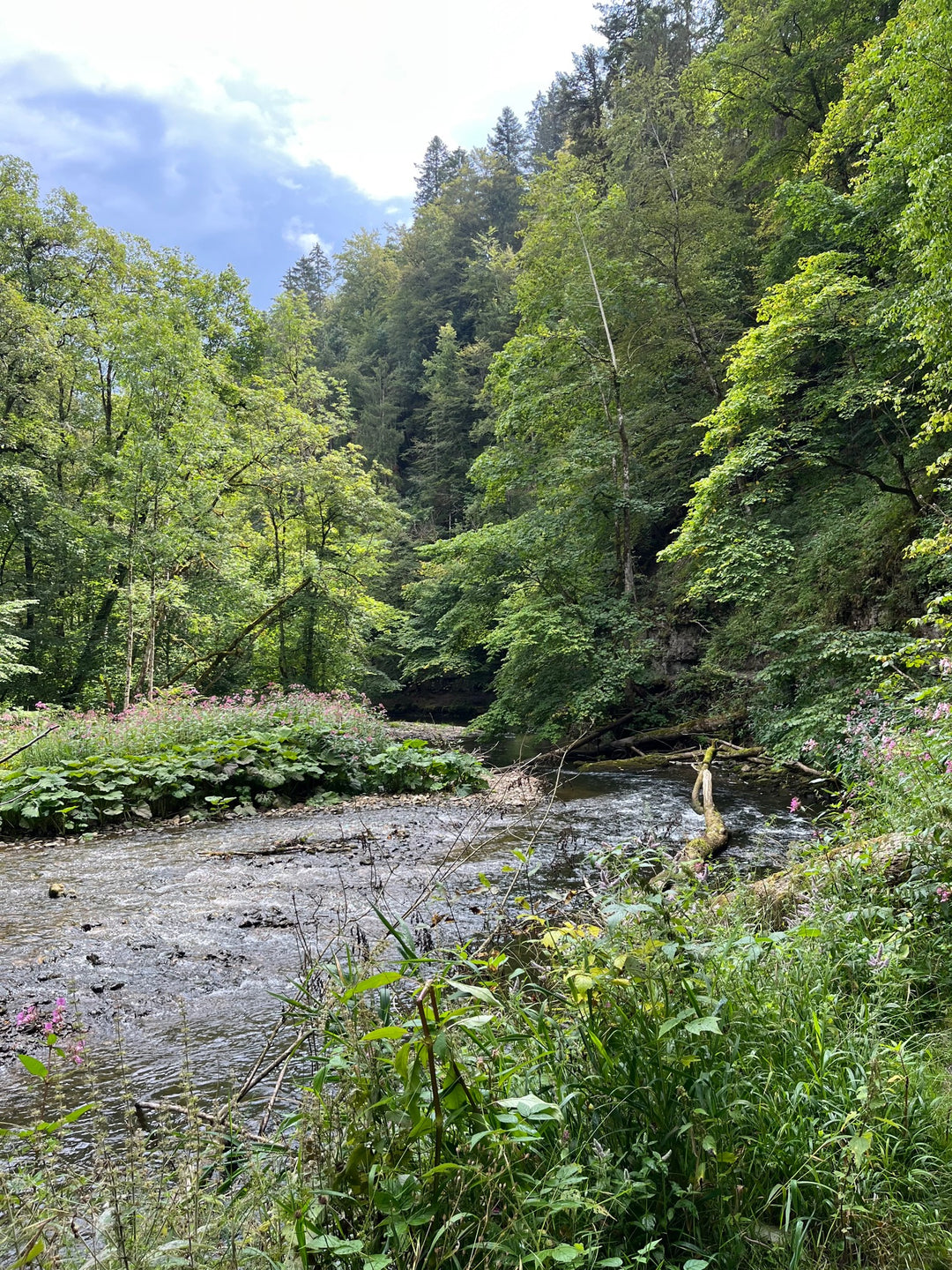 Wild Gorges and Jungle Vibes