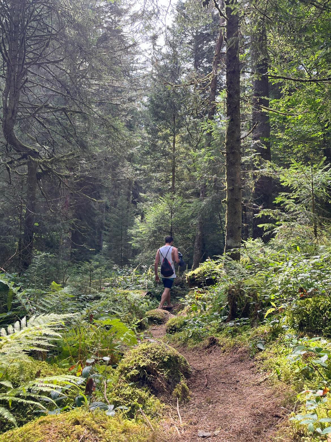 An Enchanted Riverside Adventure