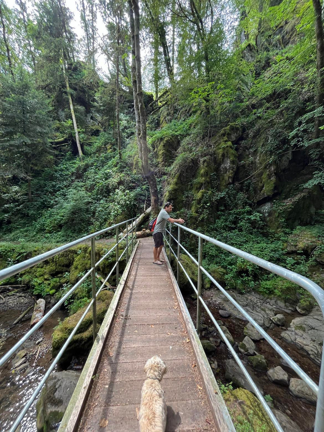 An Enchanted Riverside Adventure