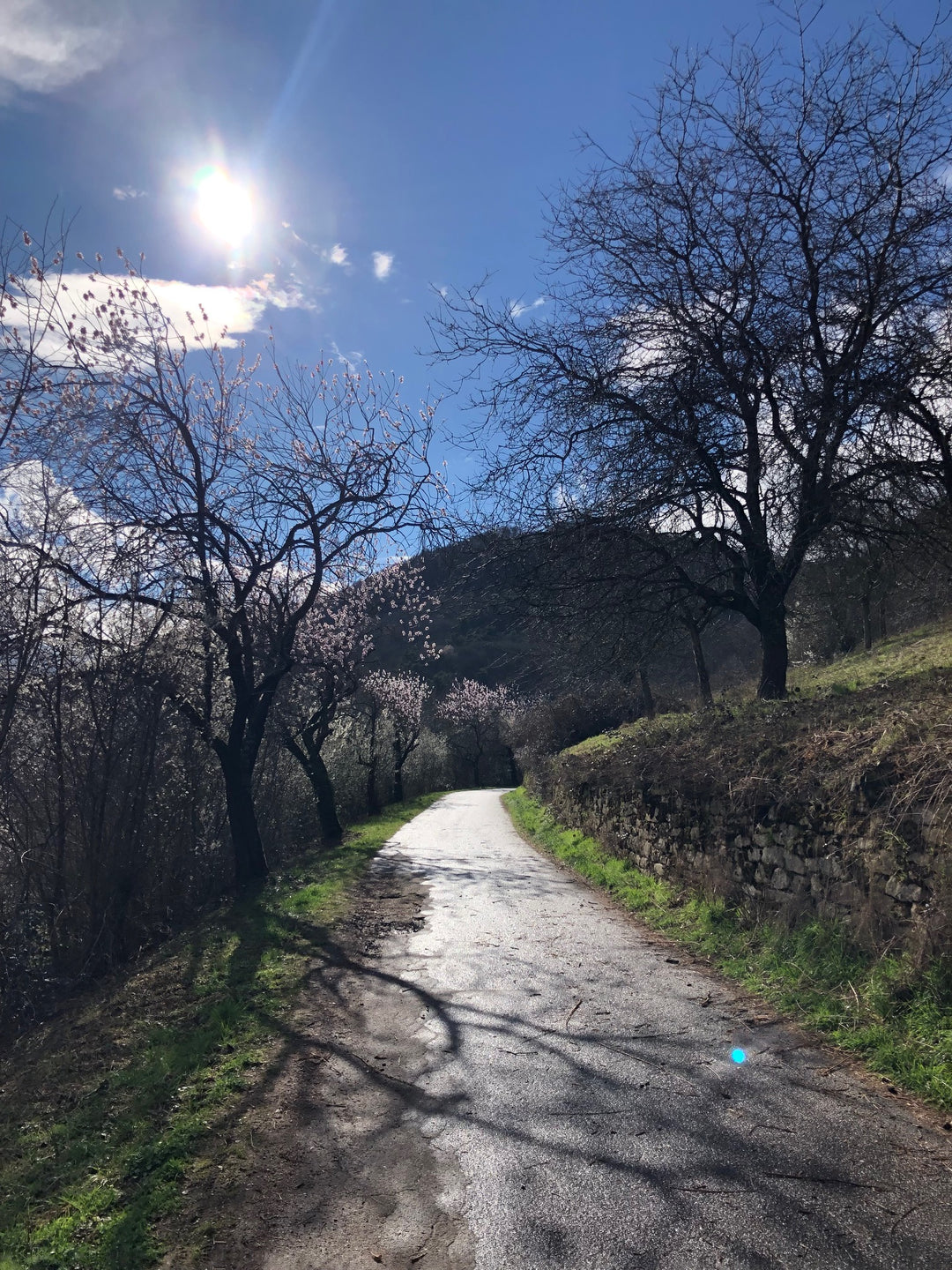 History in the Hills
