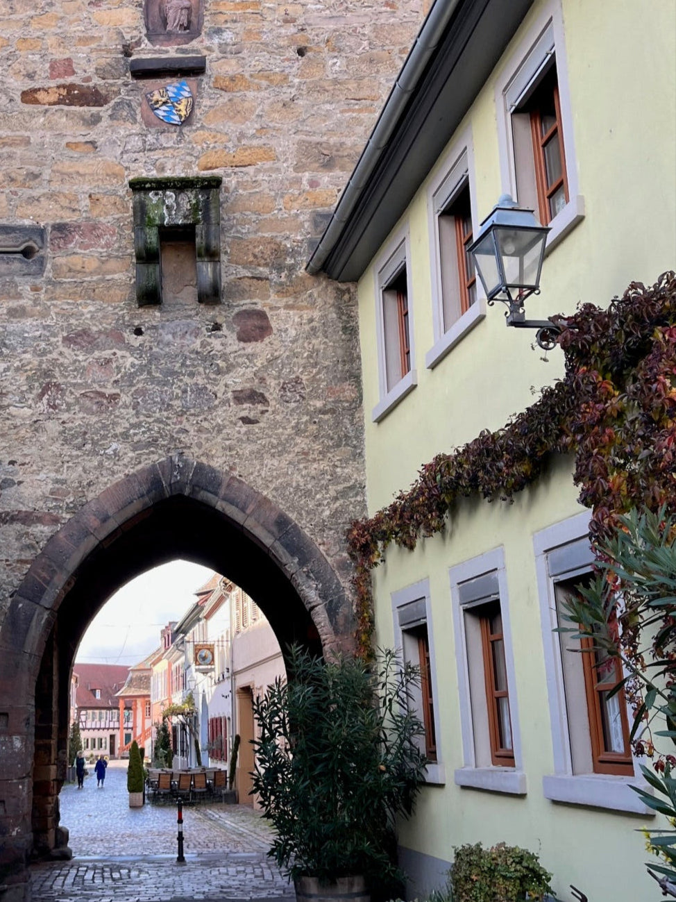 Tagesaufslug in alte Stadt